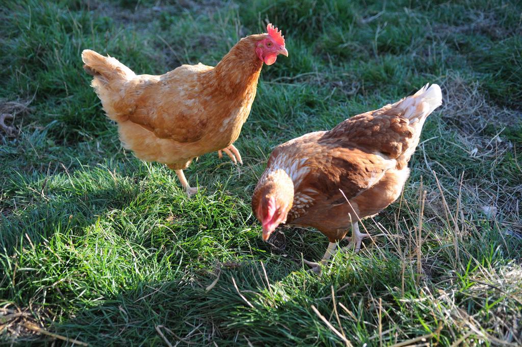 Manor Farm Stay Sutton-on-Sea 외부 사진